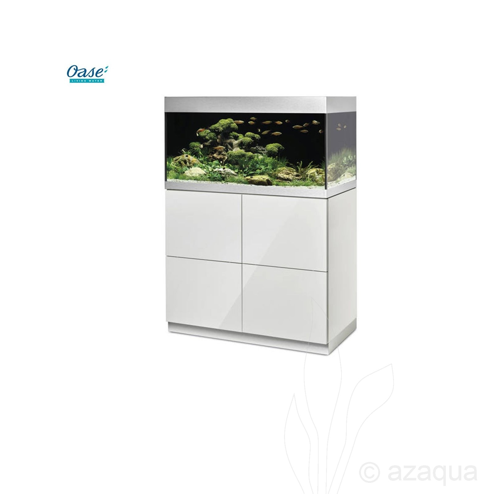 Oasis Features a 200-white