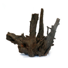 Corbo Root L (40-60cm)