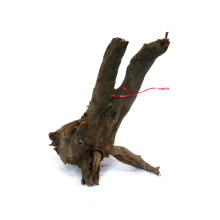 Corbo Root M (30-40cm)