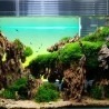 Lightground - aquarium verlichte achterwand