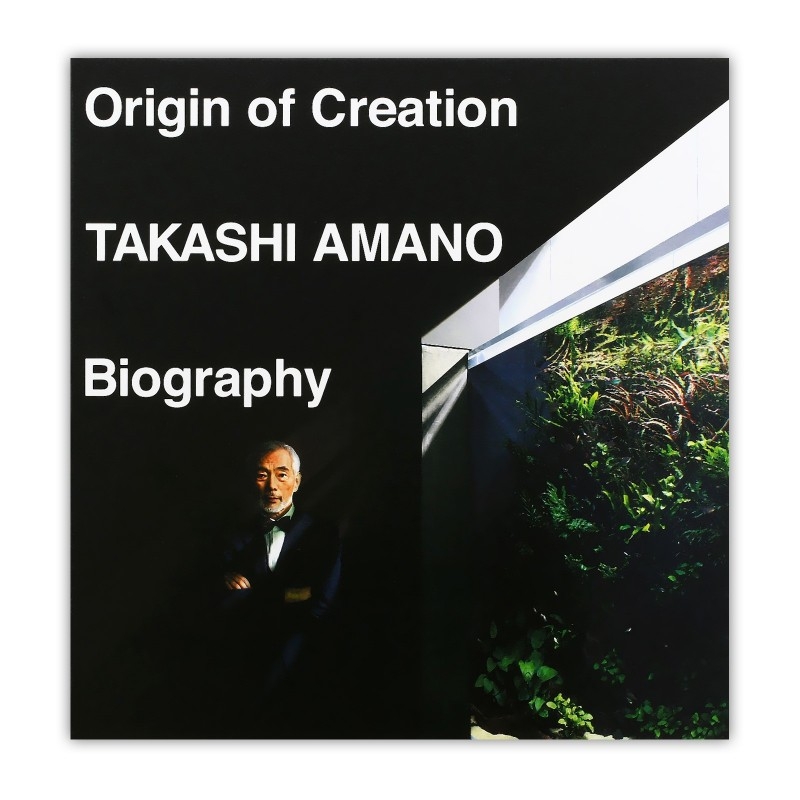 Origin or Creation