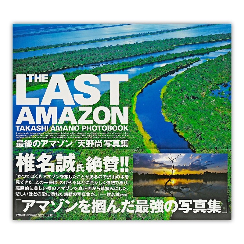The last Amazon