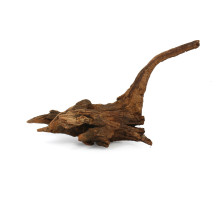 Driftwood SS (10-20cm)