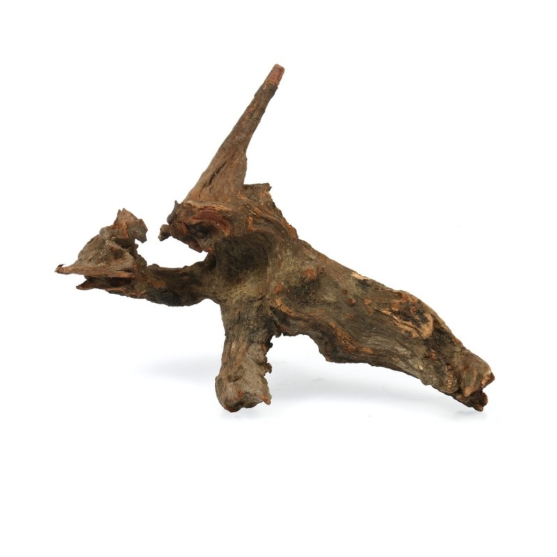 Driftwood SS (10-20cm)