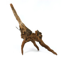 Driftwood XL (51-60cm)