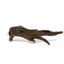 Driftwood XL (51-60cm)