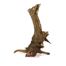 Driftwood M (31-40cm)