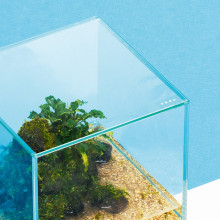 DOOA Neo Glass Cover (20x20cm)