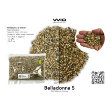 WIO Belladonna gravel