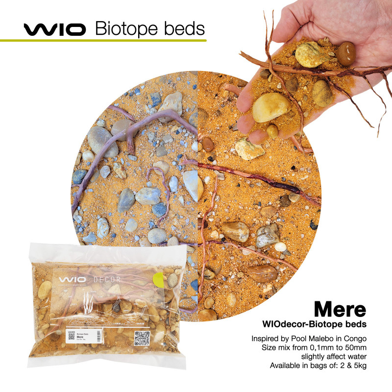 WIO Biotope Bed Mere
