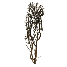 Mini Root Twigs