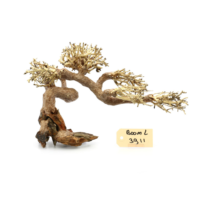 Bonsai Tree Claw L 3911