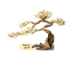 Bonsai Tree Claw L 3918