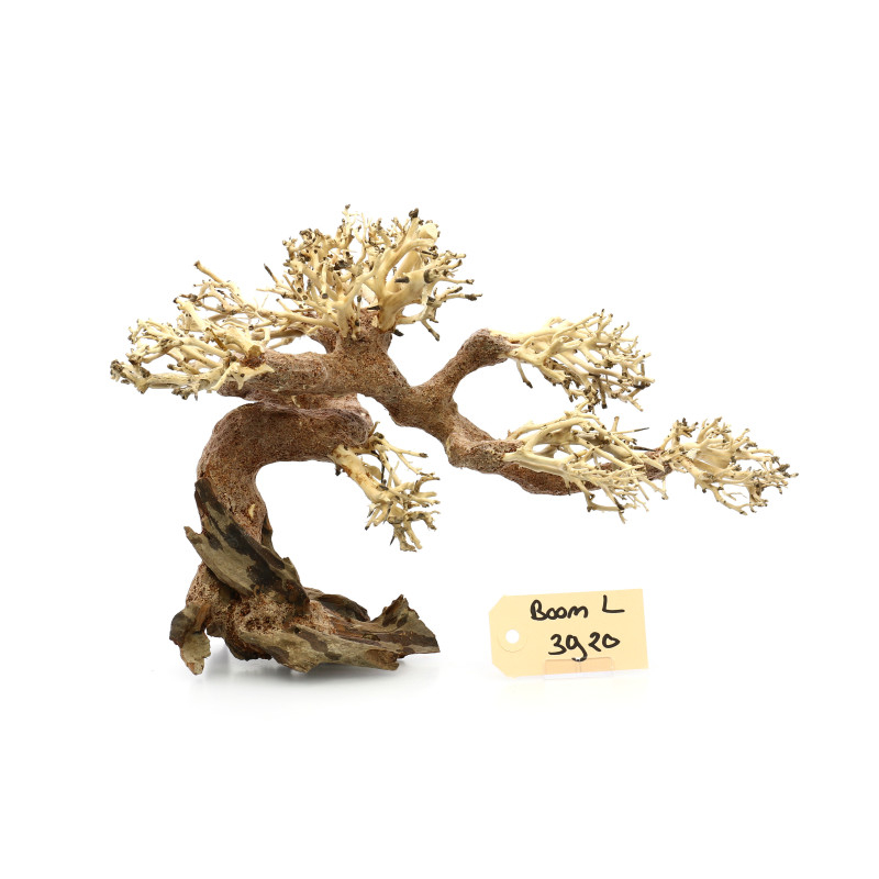 Bonsai Tree Claw L 3920