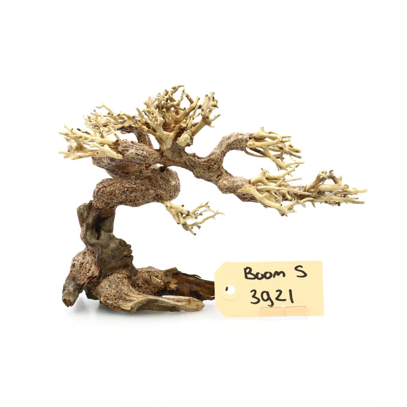 Bonsai Boom Claw S 3921