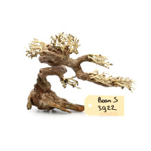 Bonsai Tree Claw S 3922