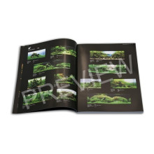 International Aquatic Plants Layout Contest Book 2010
