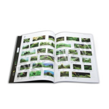 International Aquatic Plants Layout Contest book 2011