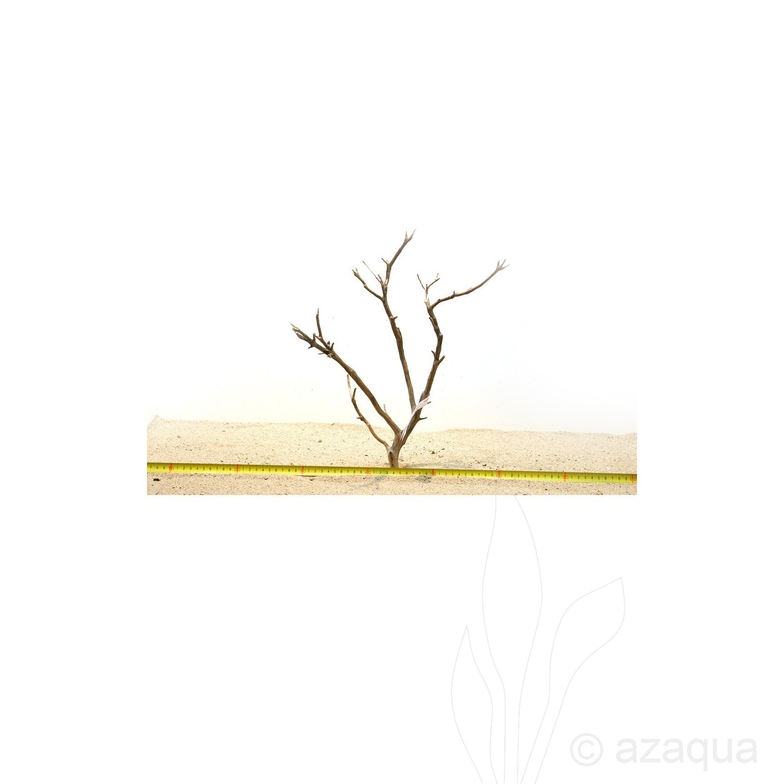 Manzanita hout S (30-40cm) - Manzanita Wood voor het aquarium