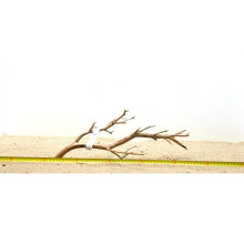 Manzanita hout S (30-40cm) - Manzanita Wood voor het aquarium