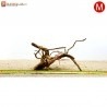 Spiderwood M (31-40cm)