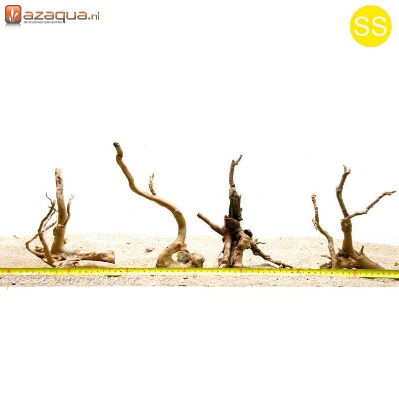Spiderwood SS (0-20cm)
