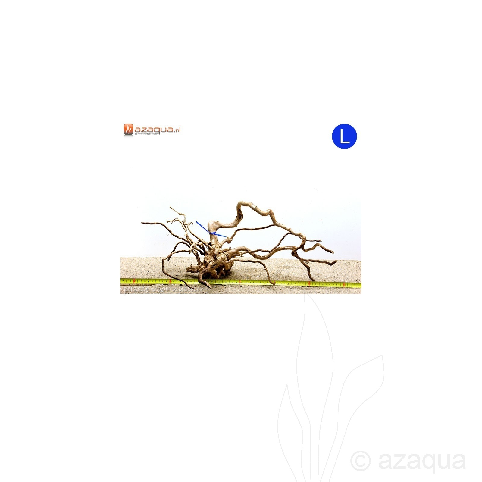 Spiderwood L (41-50cm)