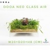 DOOA Neo Glass AIR W20×D20×H8 (cm)