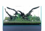 Aquascaping-stapvoorstap-09