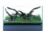Aquascaping-stapvoorstap-13