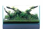 Aquascaping-stapvoorstap-15