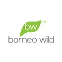 Logo Borneo Wild